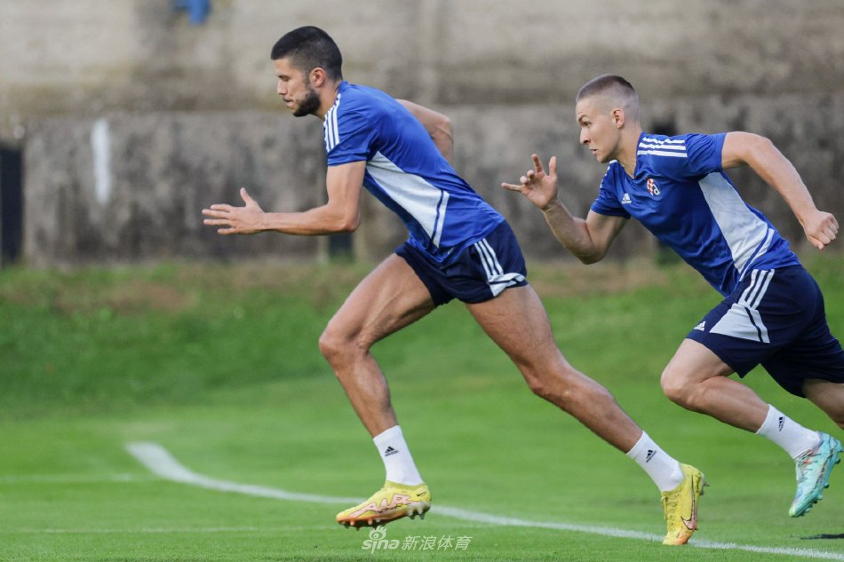 回归提供了 回归提供了